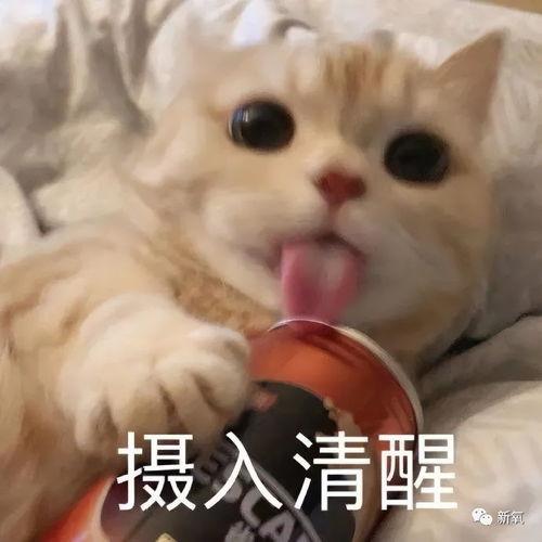娱乐吃瓜酱不开心,揭秘背后原因