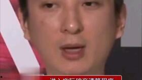 娱乐圈吃瓜熊猫,熊猫视角下的吃瓜盛宴